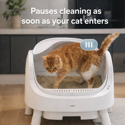 PurrSync Open-Top Cat Litter Box